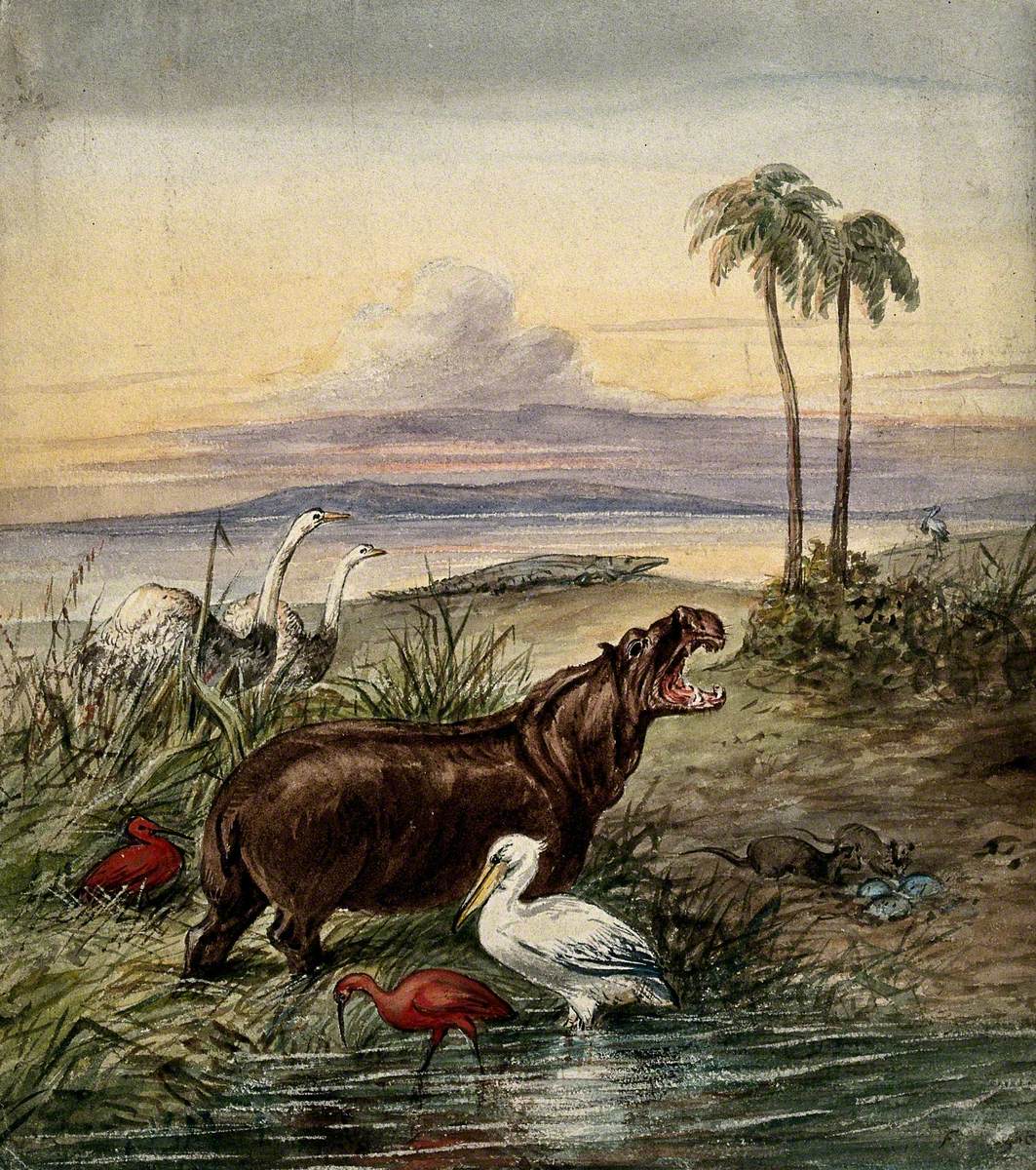 An Hippopotamus, a Pelican, Two Flamingos, Two Water Rats, Two Ostriches and a Crocodile in a Landscape