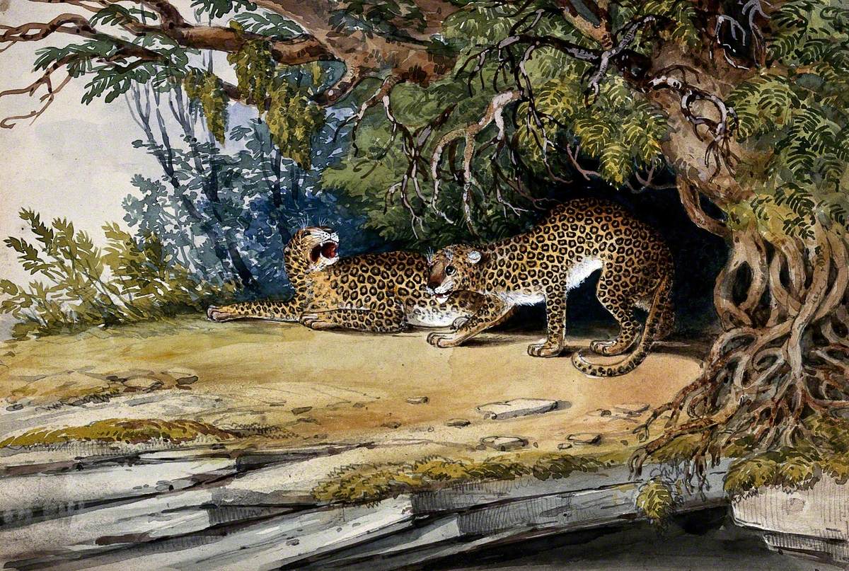 Two Leopards in a Landscape
