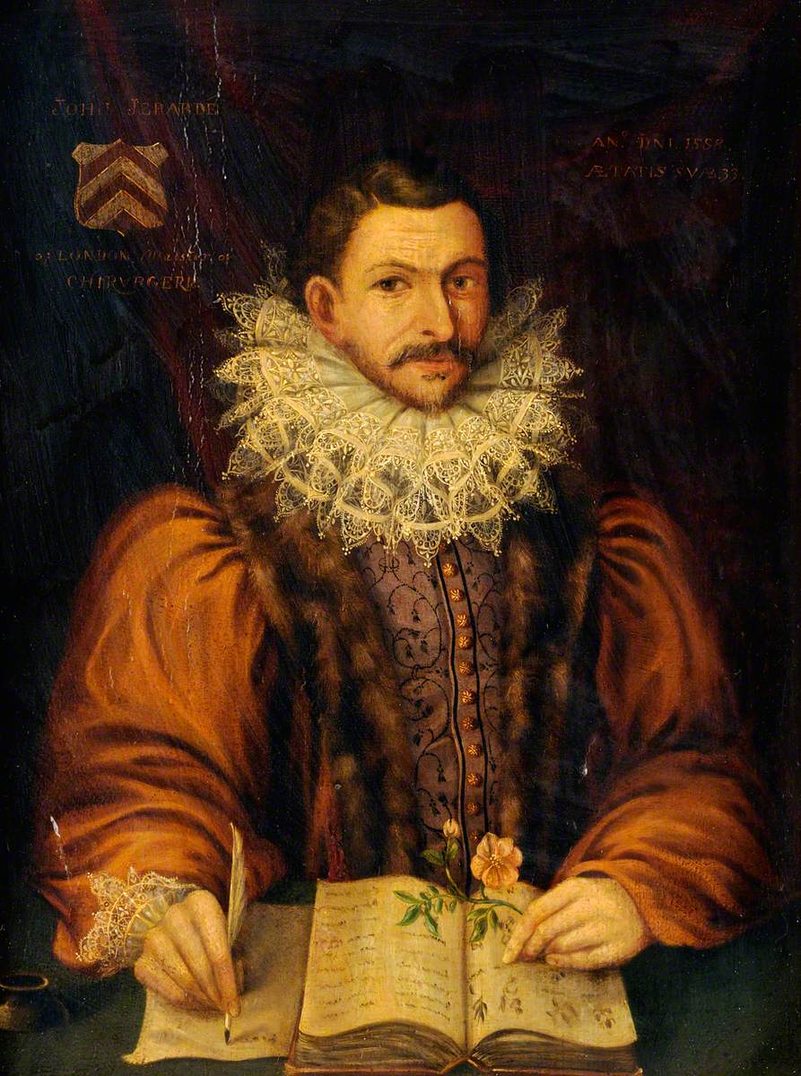 John Gerard (1545–1611/1612), Surgeon and Herbalist