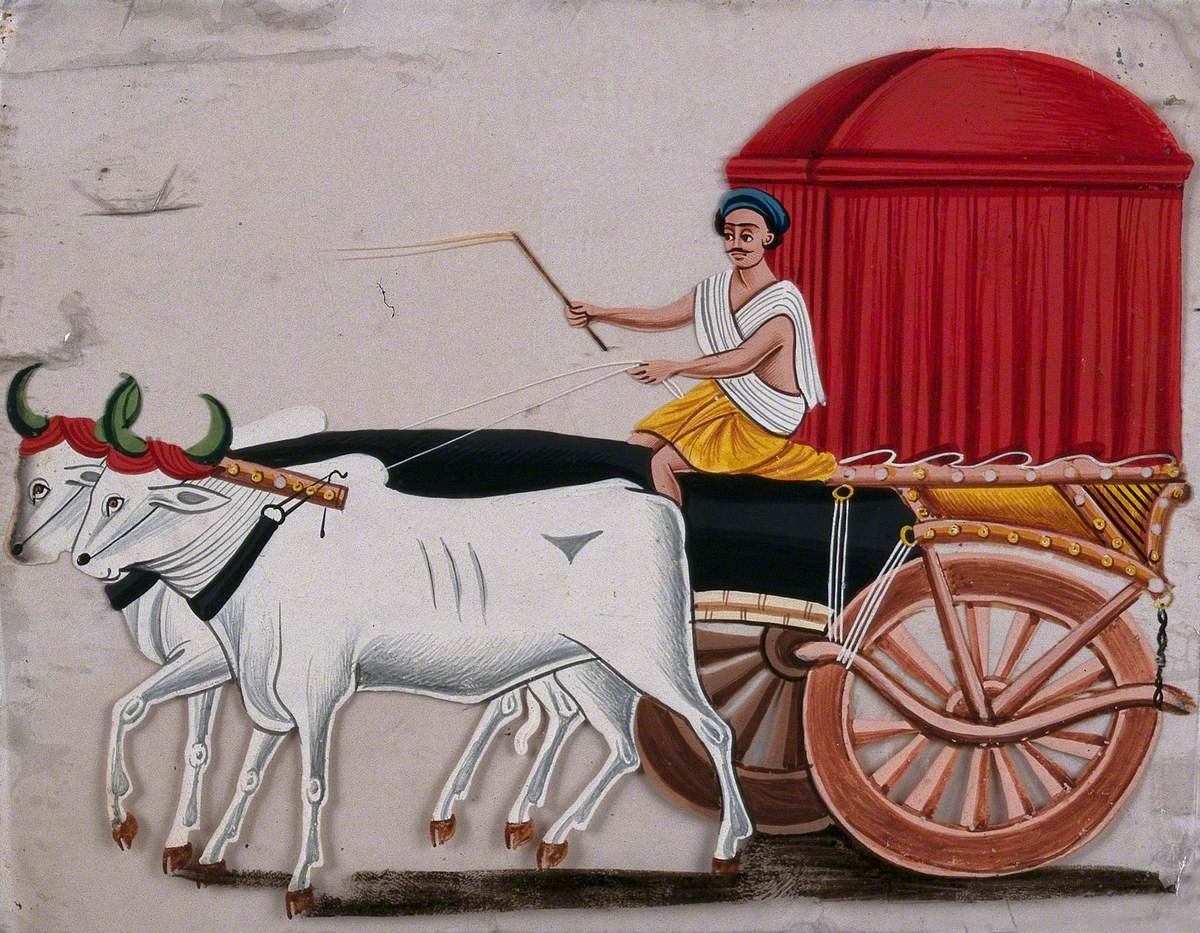 A Man Driving a Bullock Carriage