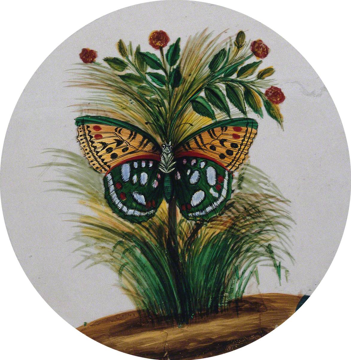 A Green and Orange Spotted Butterfly