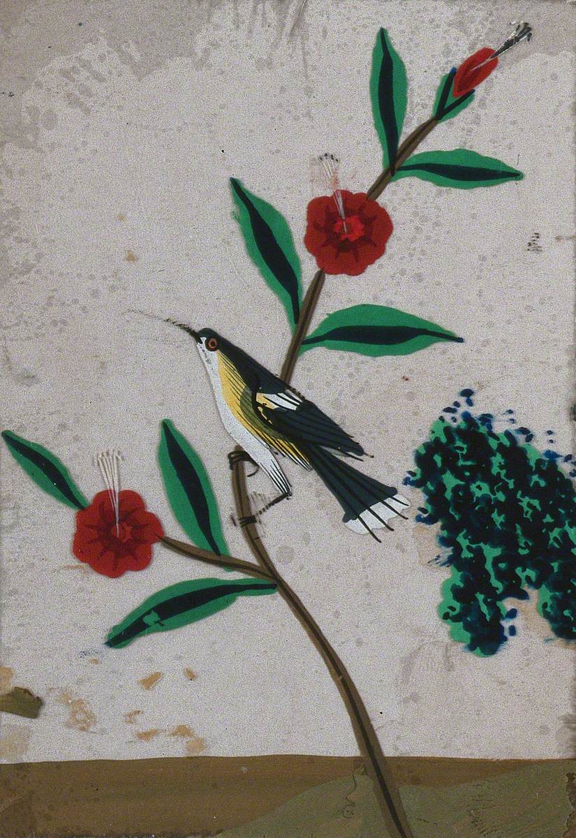 A Grey, White and Yellow Bird Sitting on a Flower Stem