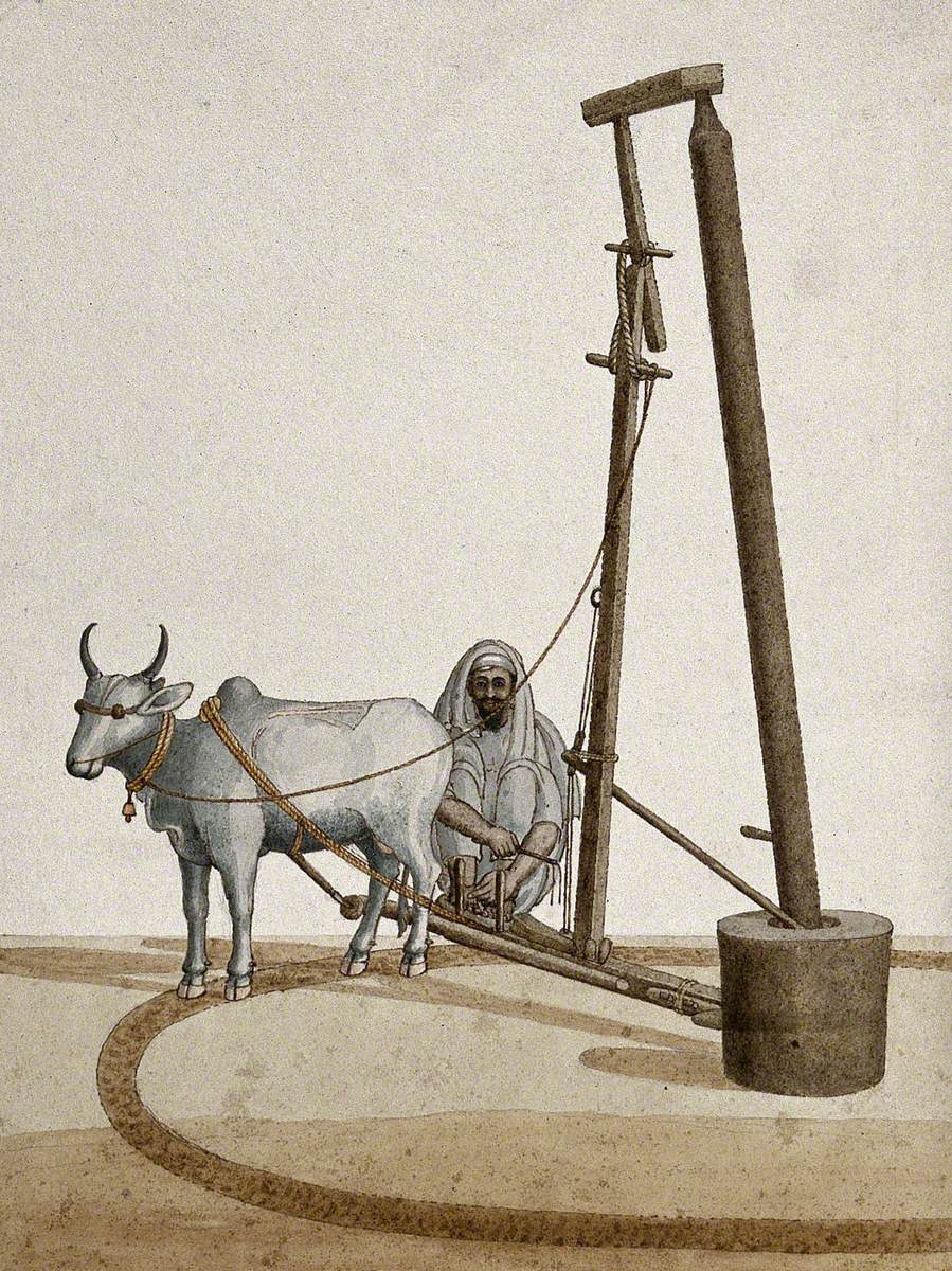 A Man Operating a Grinding Machine (?) with the Help of an Ox