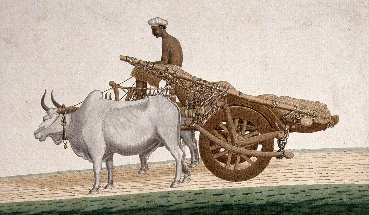 A Man Driving a Cart Drawn by Bullocks