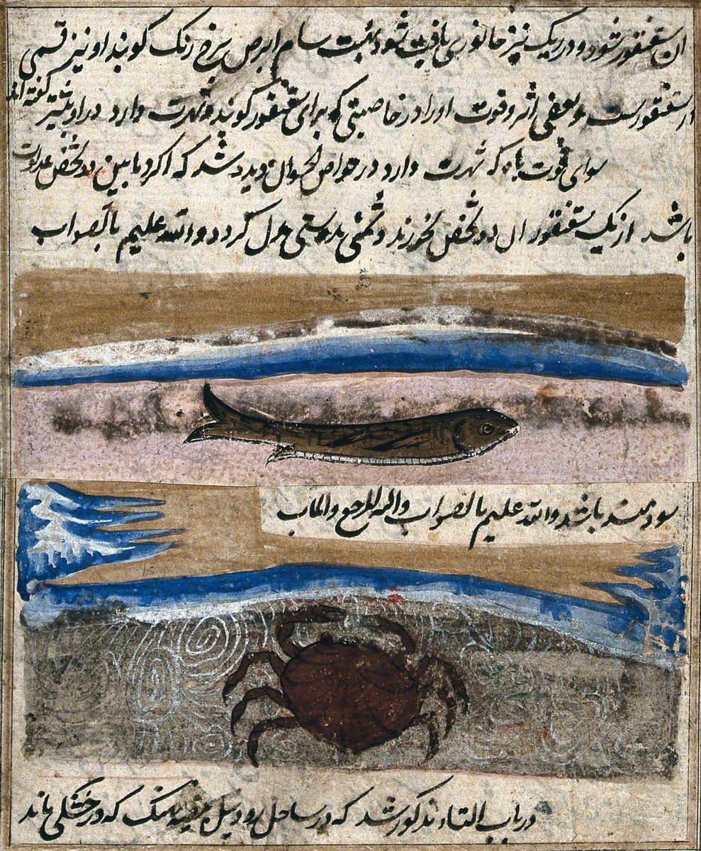 A Fish and a Crab