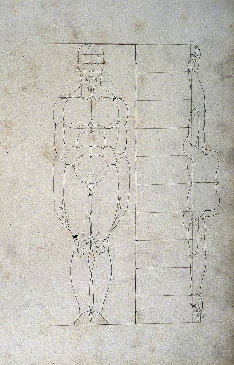 Human Proportions: Two Figures