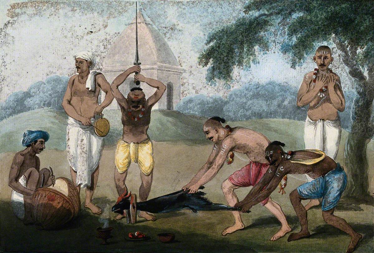 beheaded A Goat about to Be Beheaded as a Hindu Ritual in Honour of the Goddess Kālī  | Art UK