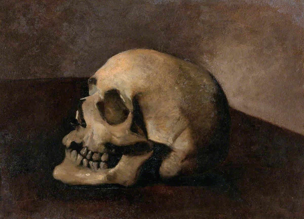 A Skull