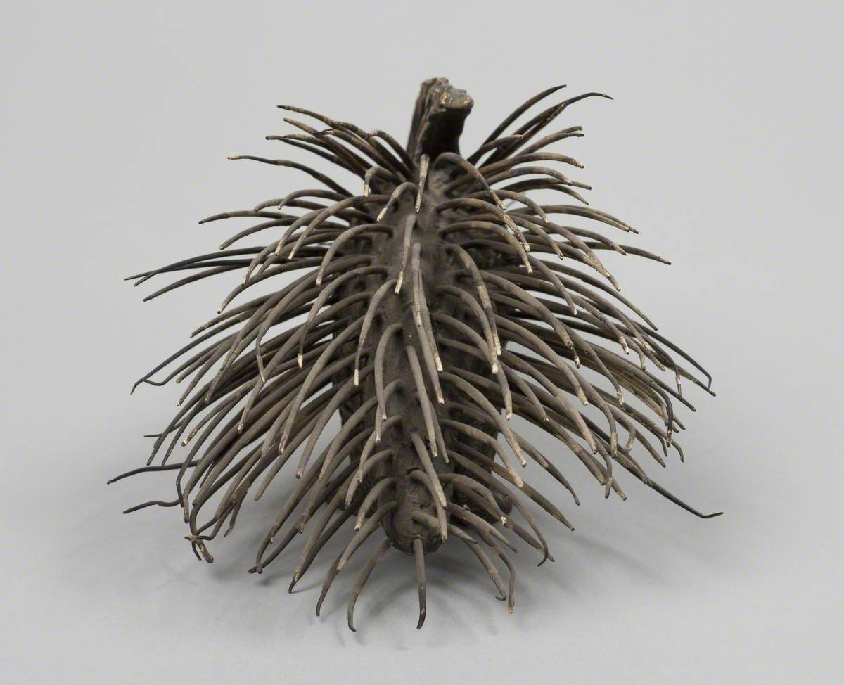 Porcupine*