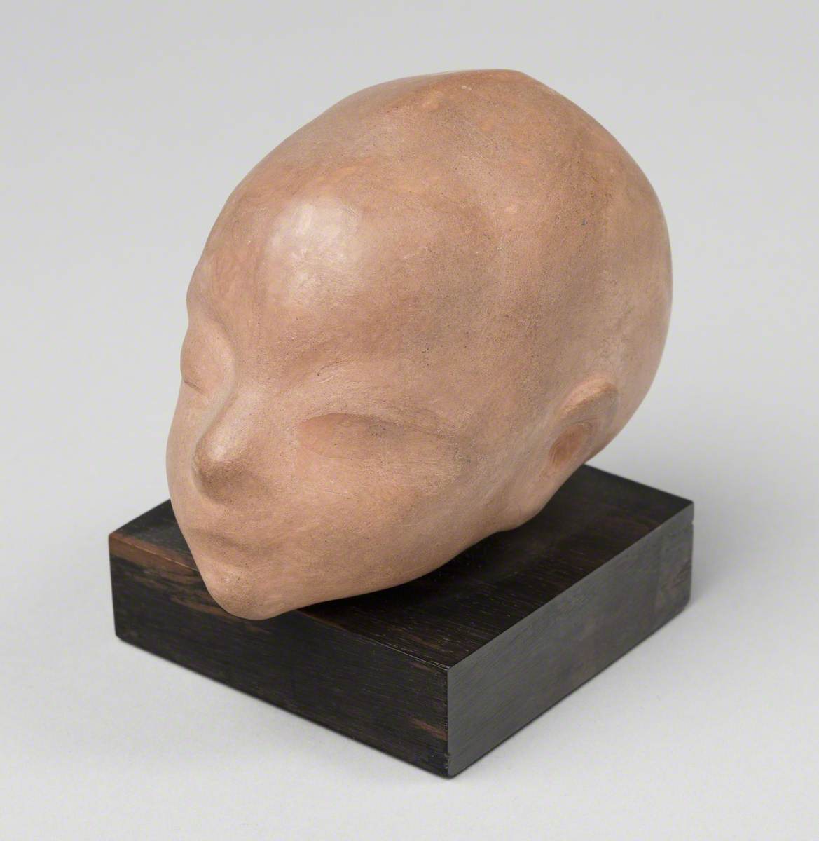 Head of a Child*
