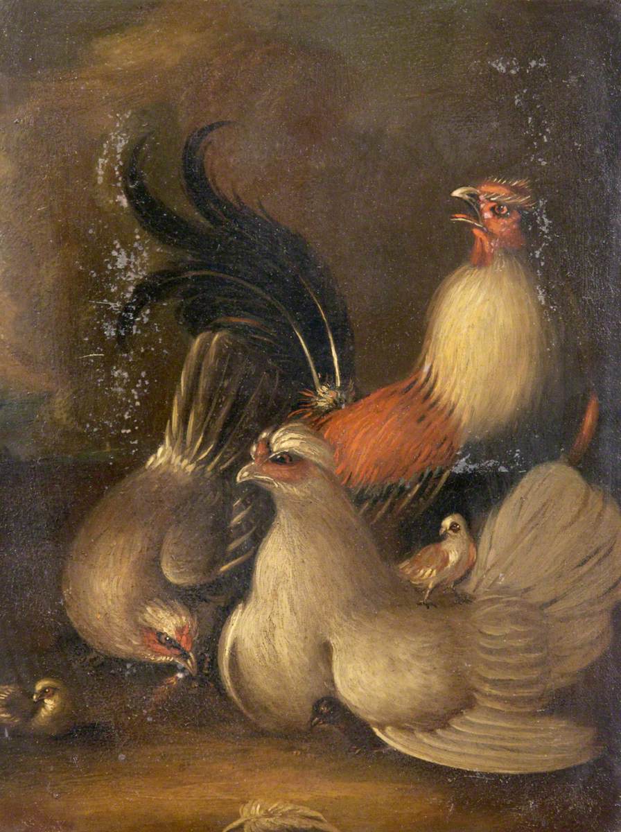 Poultry in a Yard