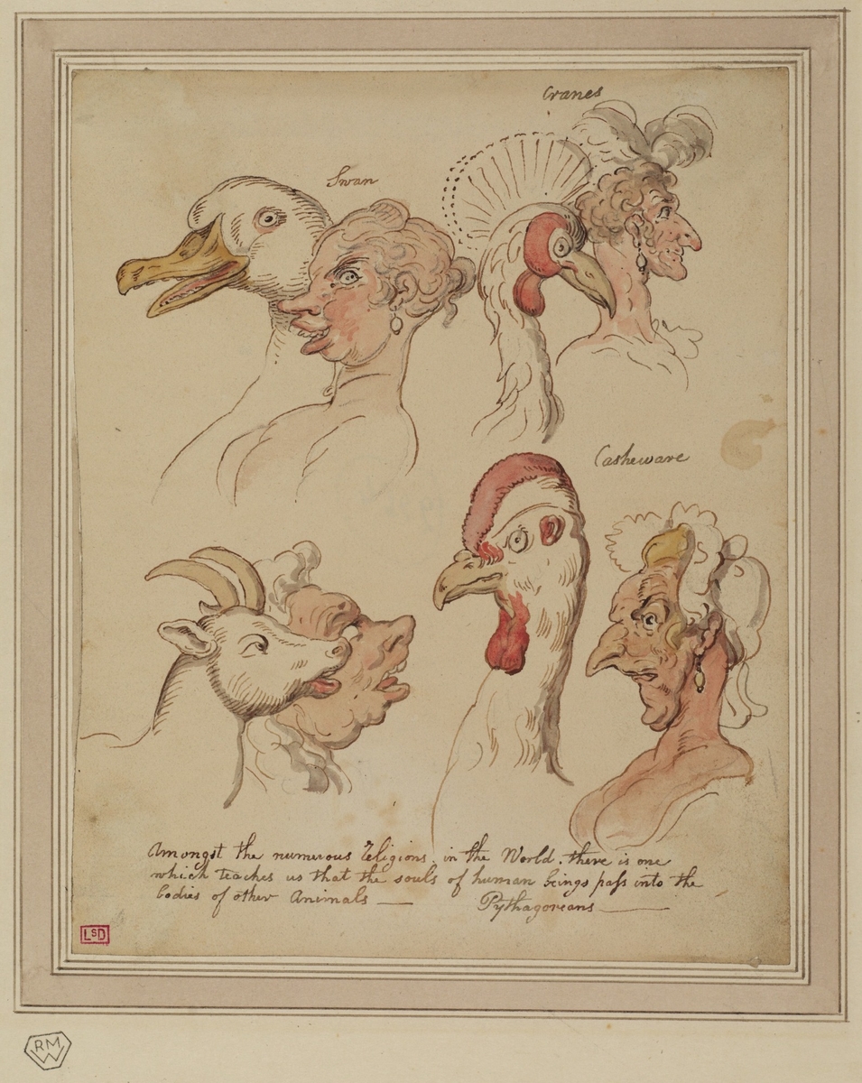 Comparative Studies of Human and Animal Heads | Art UK