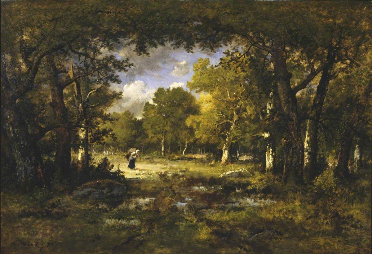 Clearing in a Forest