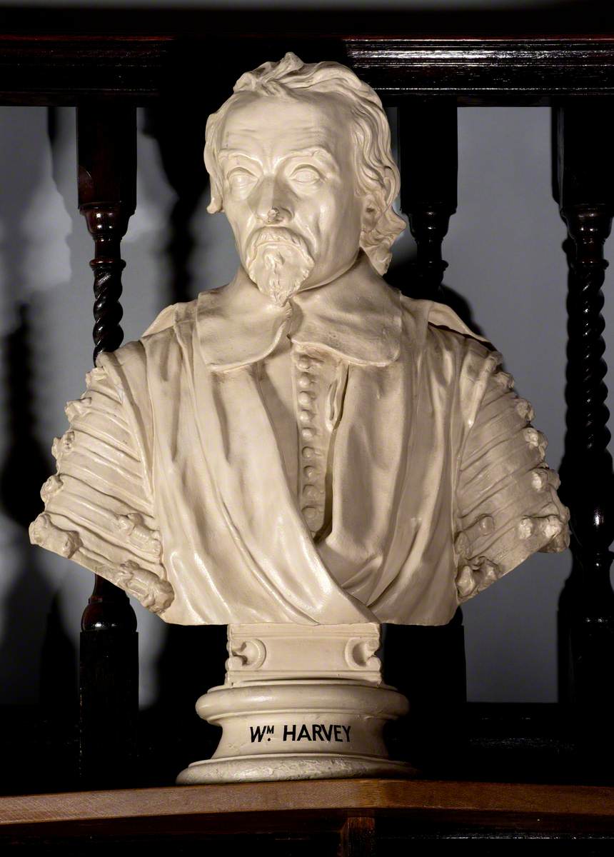 William Harvey (1578–1657)