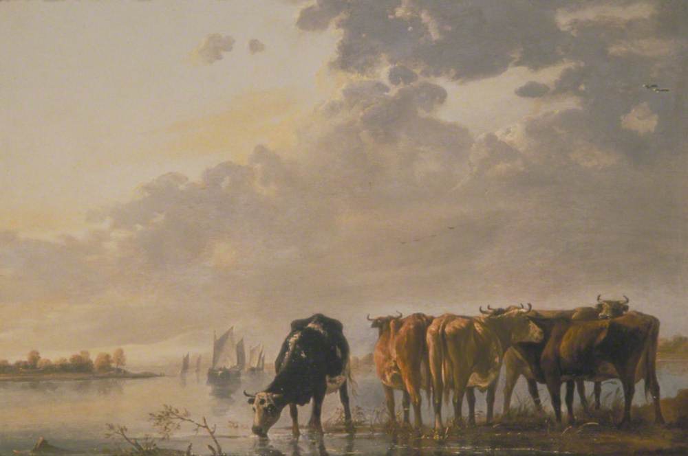 Cattle by a River