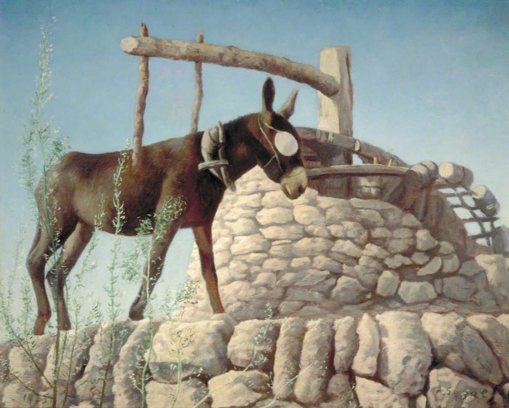 Donkey at a Well