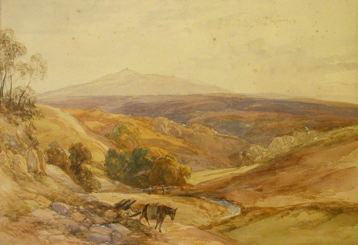 Landscape with a Horse