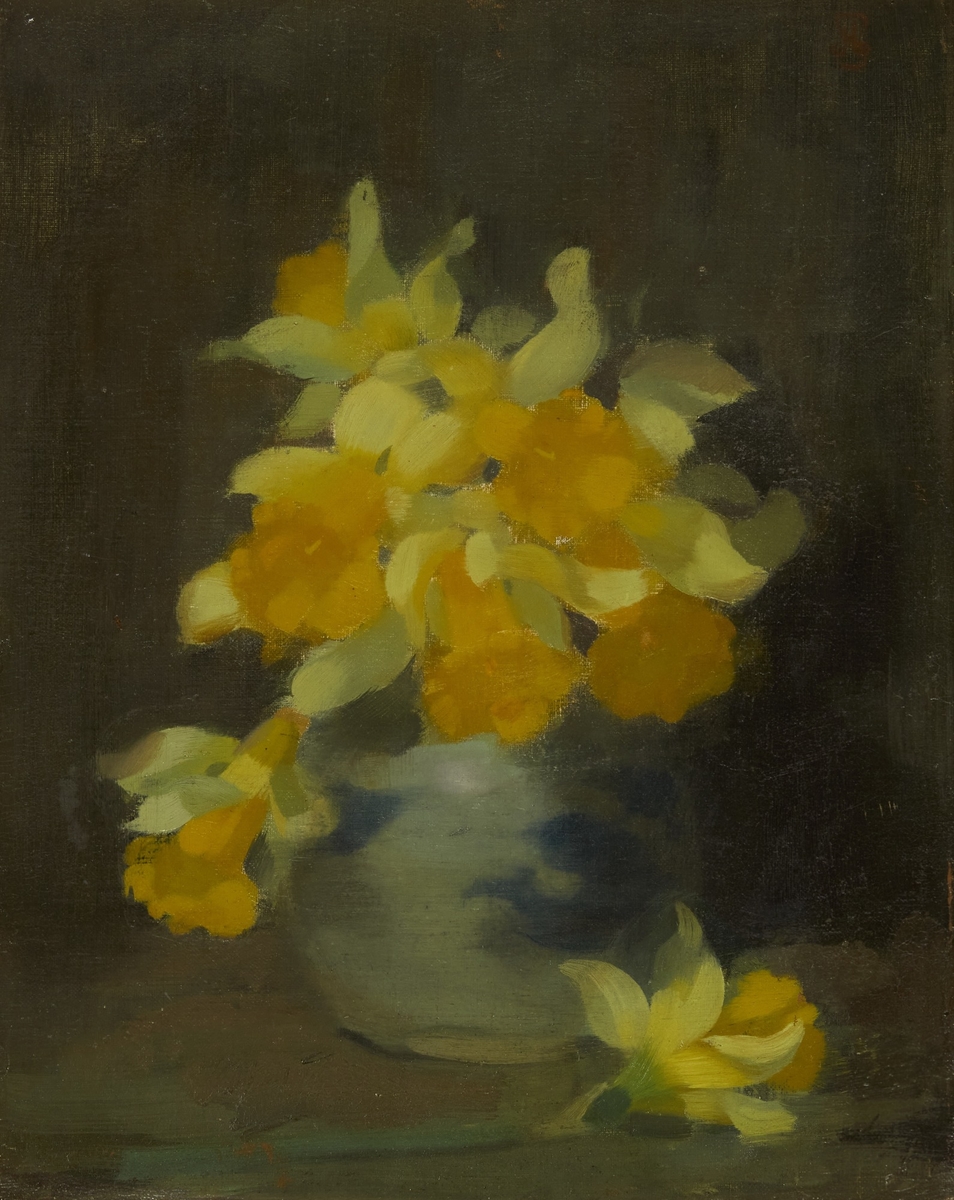 Daffodils