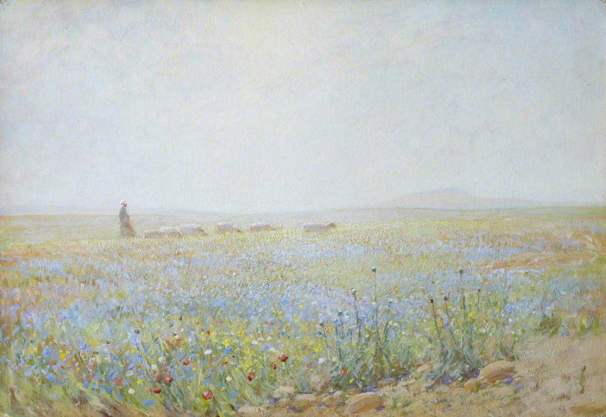 The Flowers of the Fields