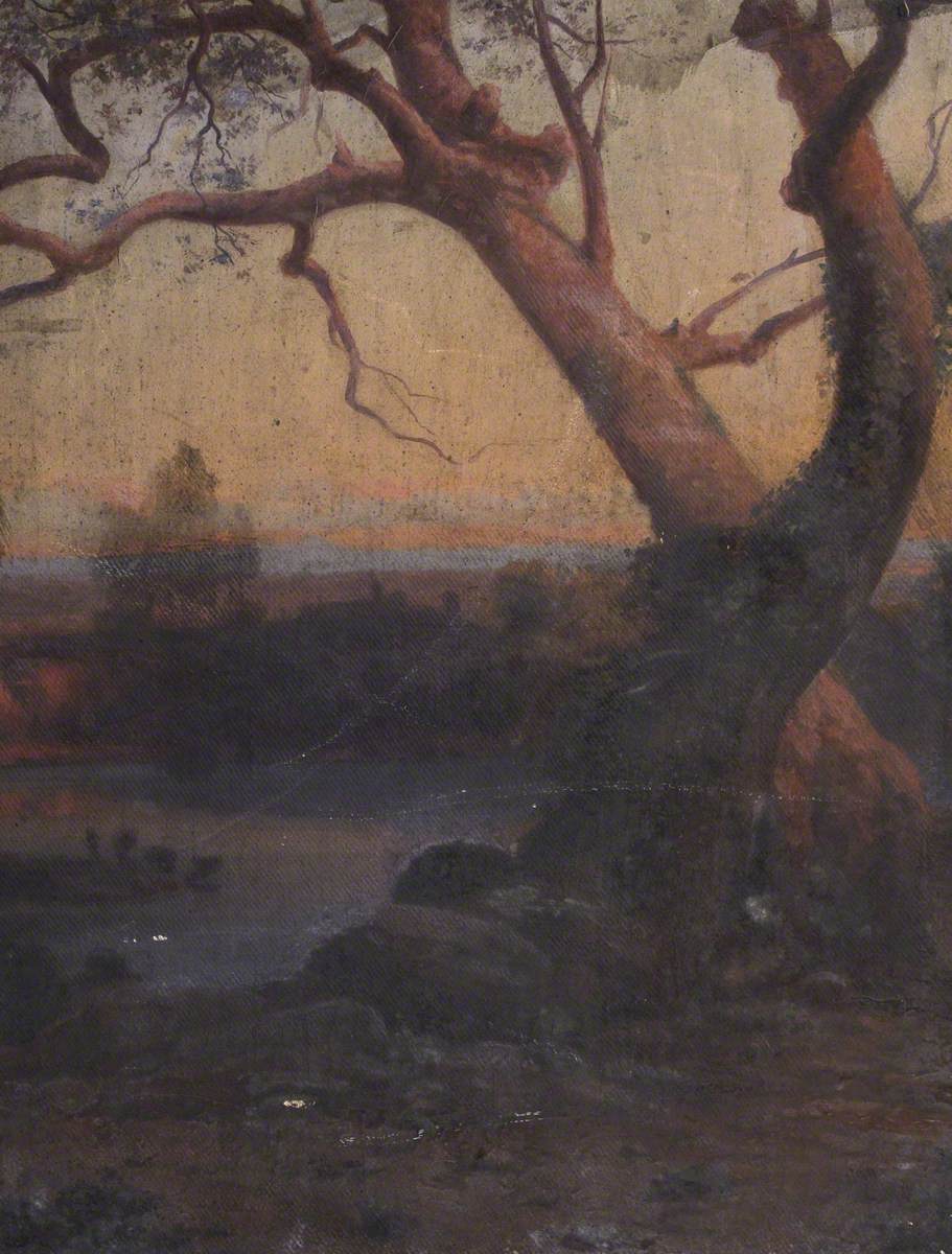 Woodland Scene