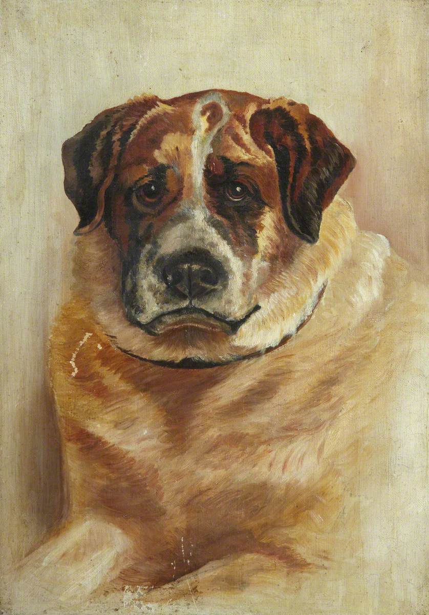 Dog's Head