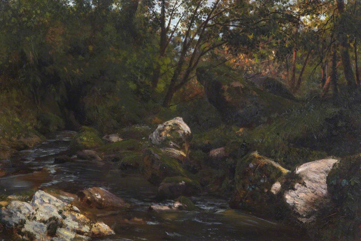 A Derbyshire Brook