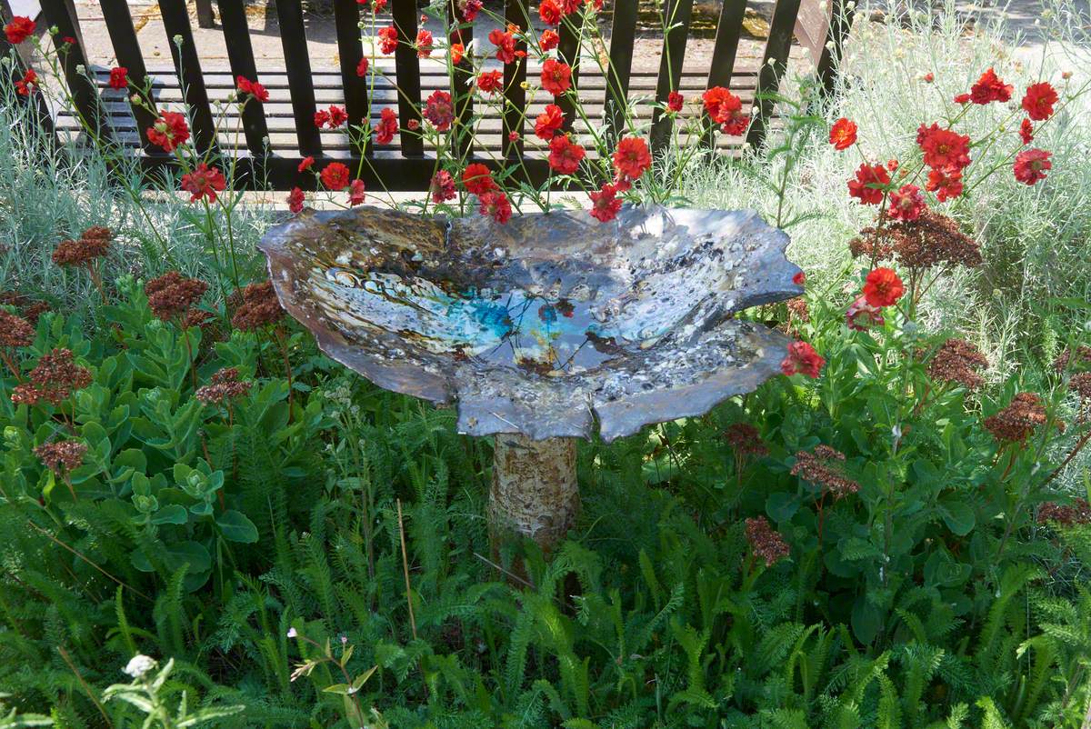 Bird Bath