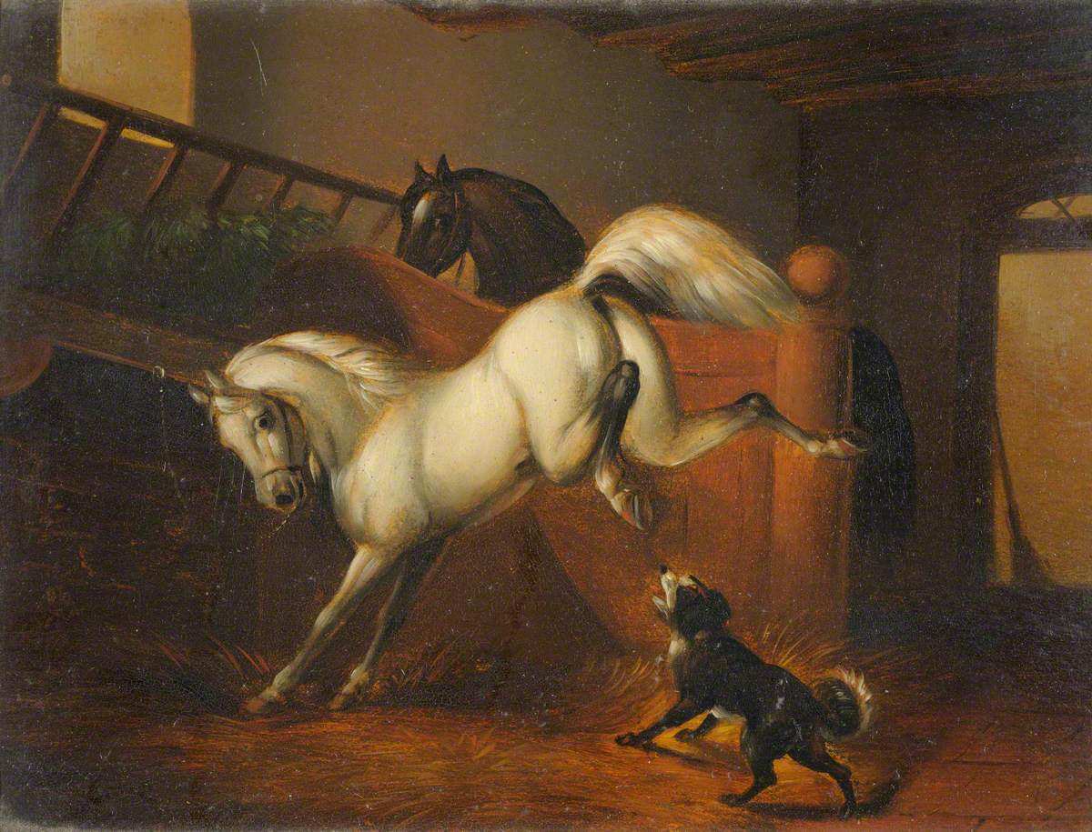 Horse in a Stable (Bucking)