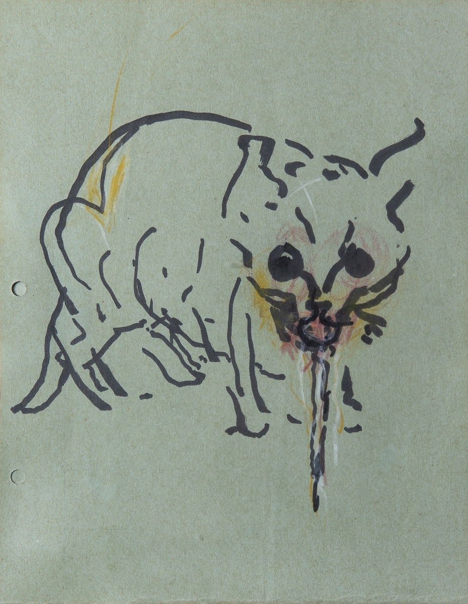 Cat Vomiting
