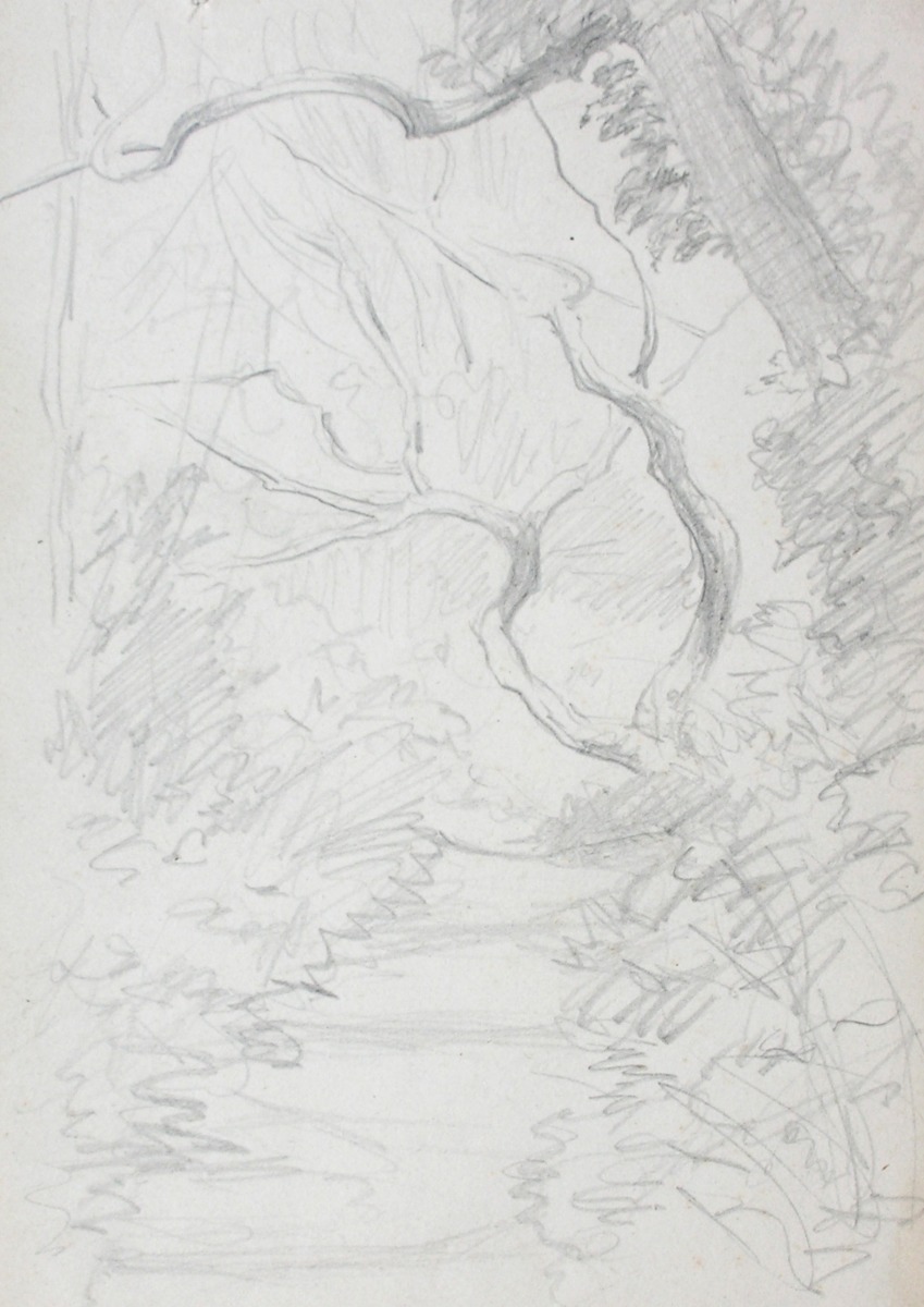 Sketch of Woodland Scene with Path