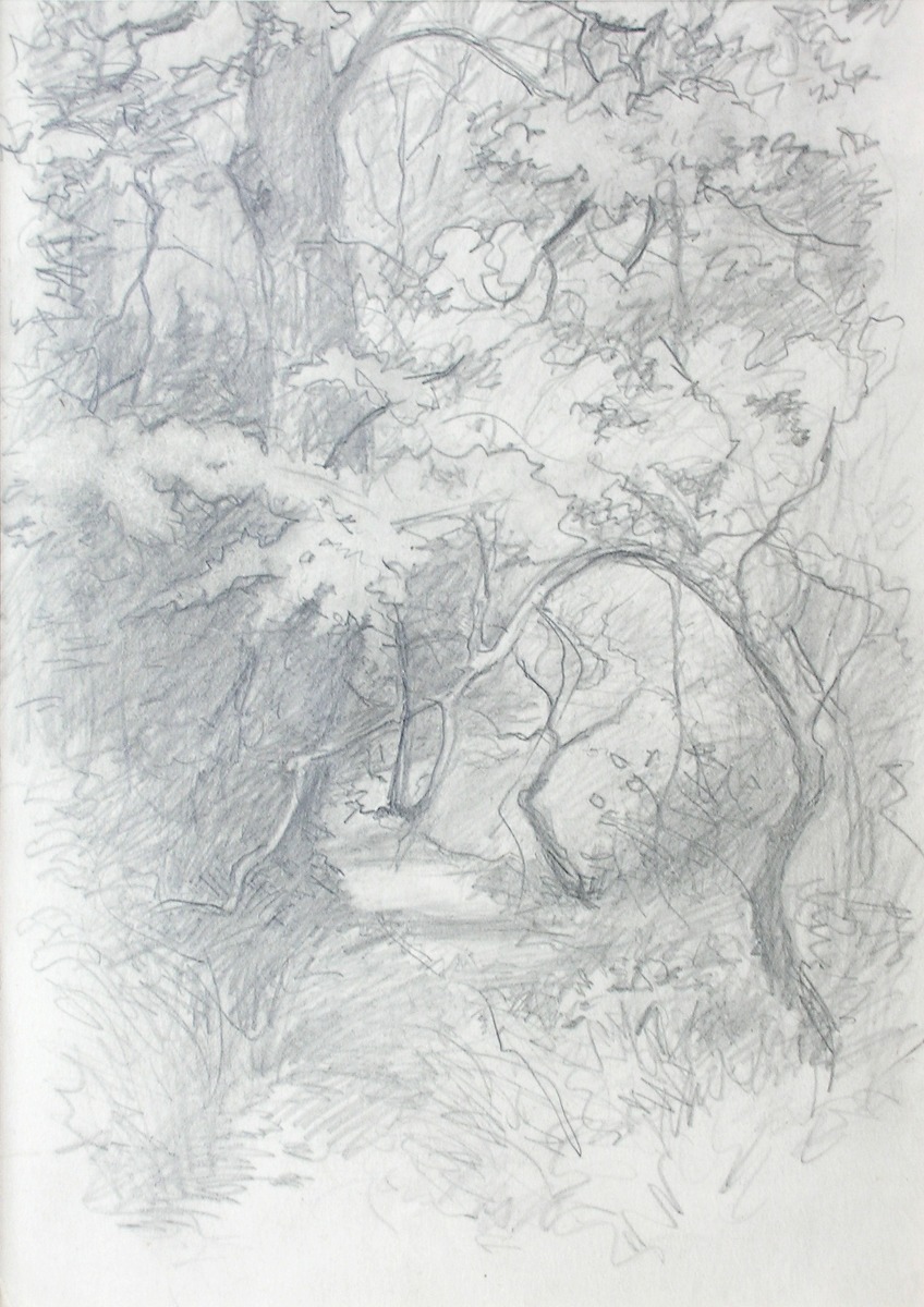 Sketch of a Woodland Path