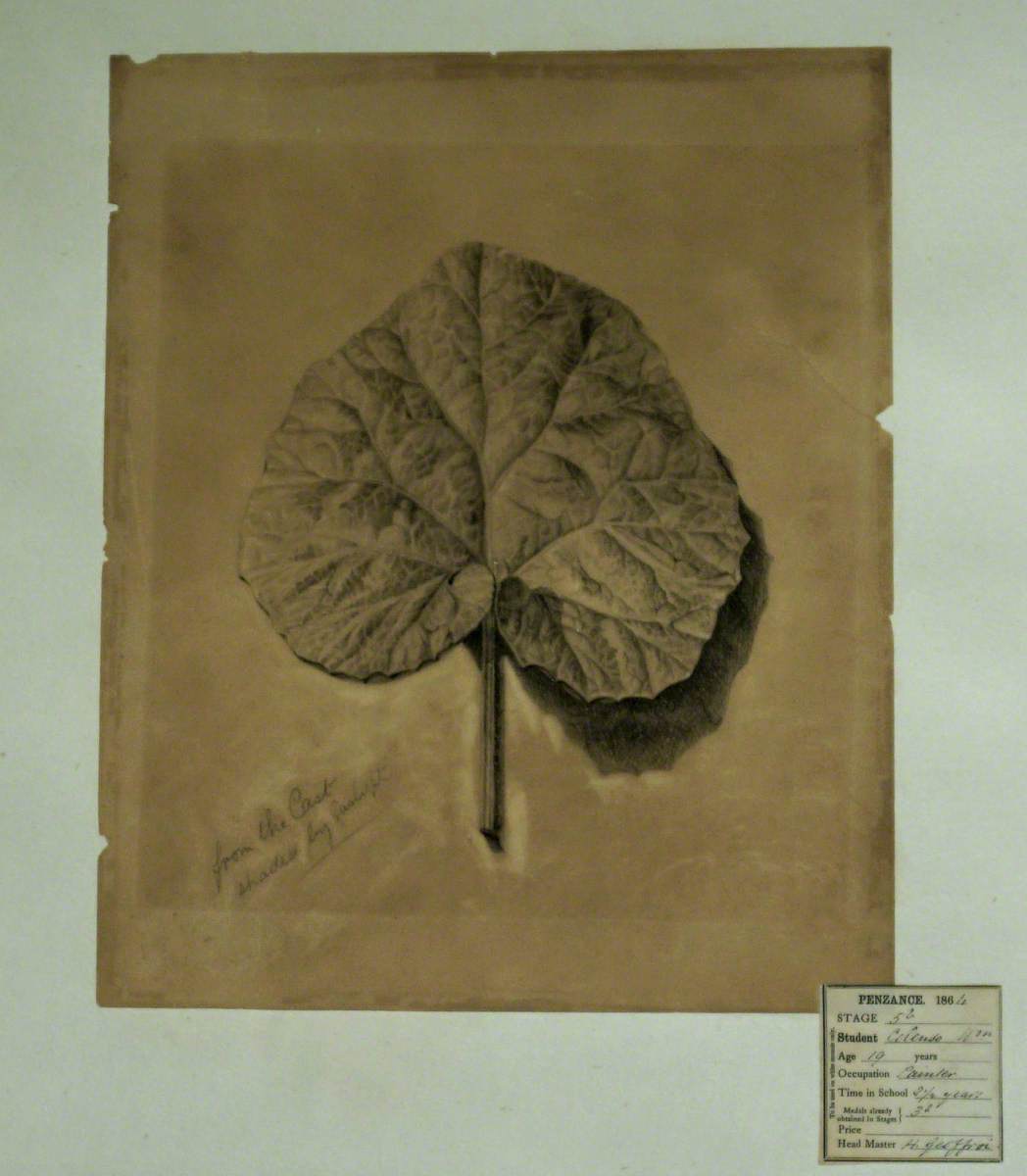 Leaf from Cast Shaded by Gas Light