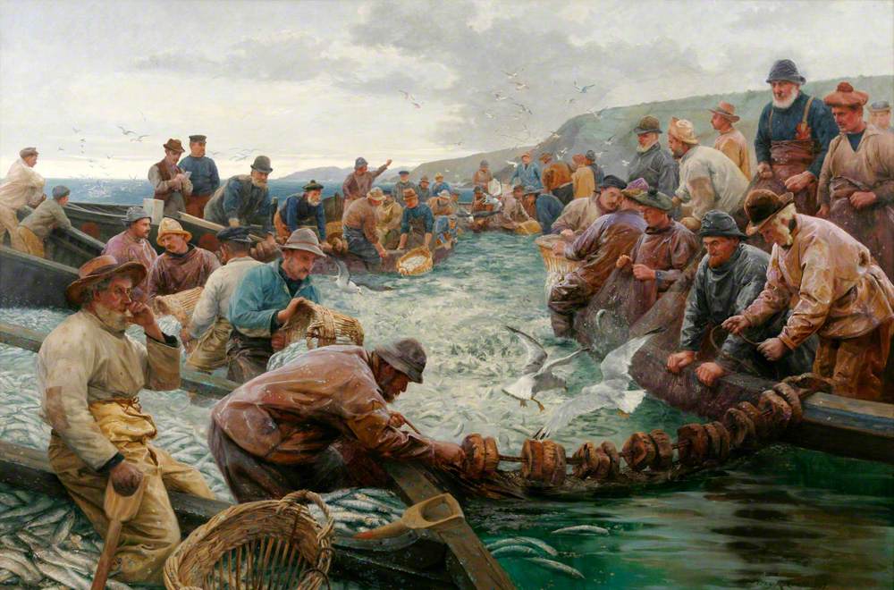 Tucking a School of Pilchards (The Tuck Boat)