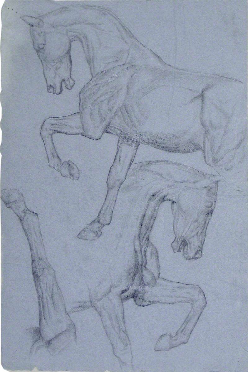 Horses