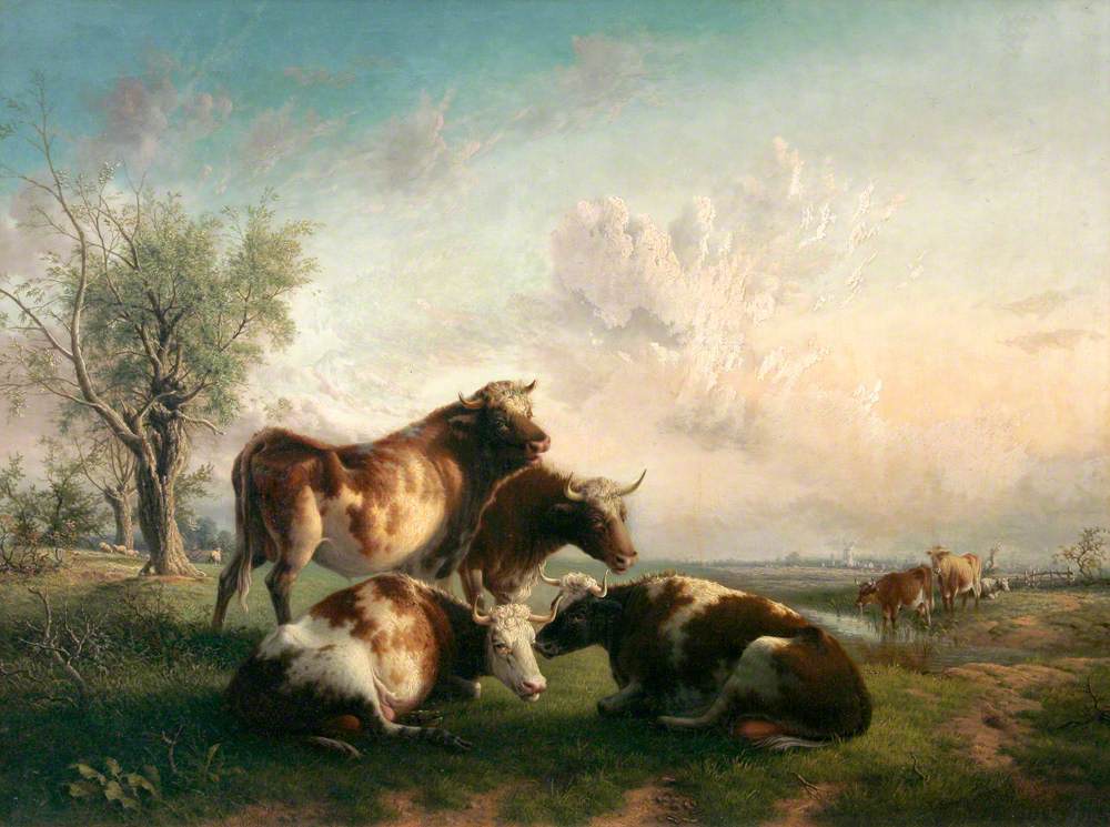 Three Cows and a Bull