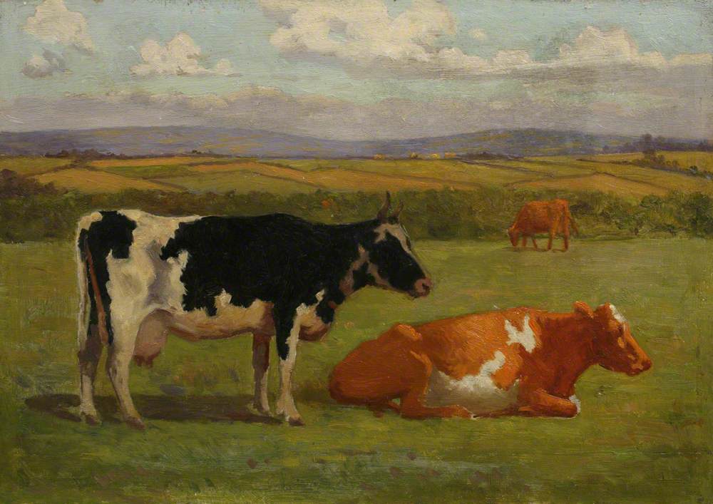 Three Cows in a Field