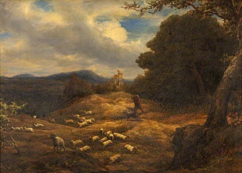 The Upland Shepherd