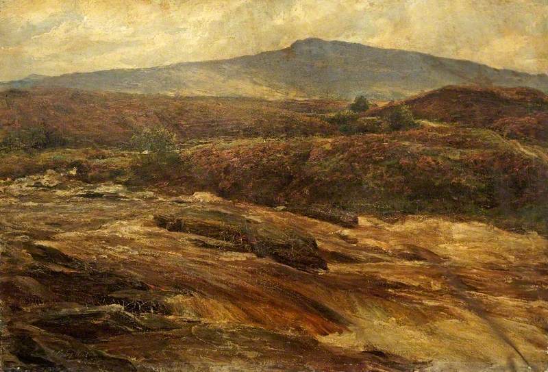 Highland Landscape