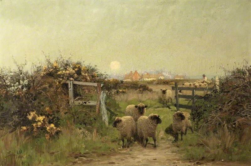 Sheep in a Meadow