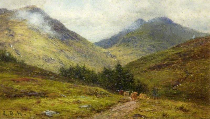 Scottish Mountain and Highland Cattle