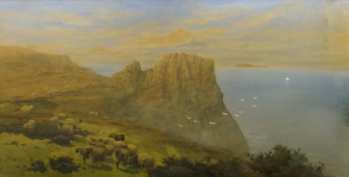 Sheep on a Cliff Top