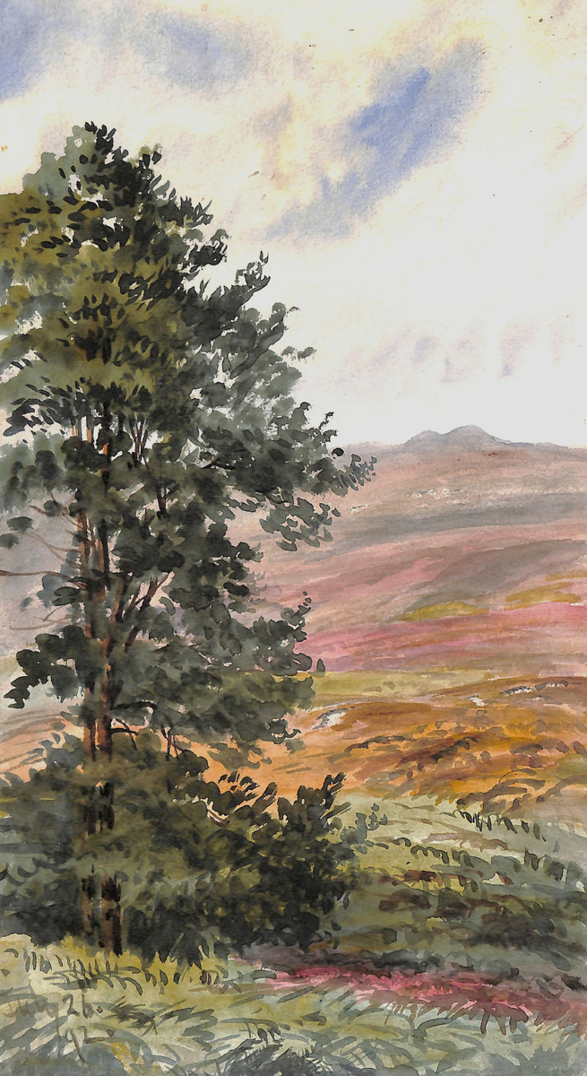 Watercolourmounted on page 71 of H.J. Moule 