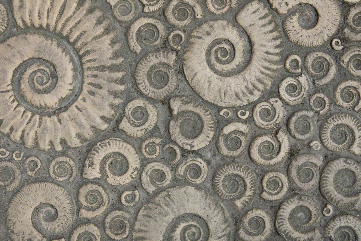 Ammonite Pavement