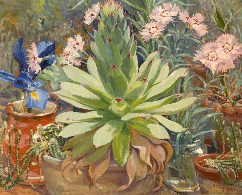 Cacti and Flowers