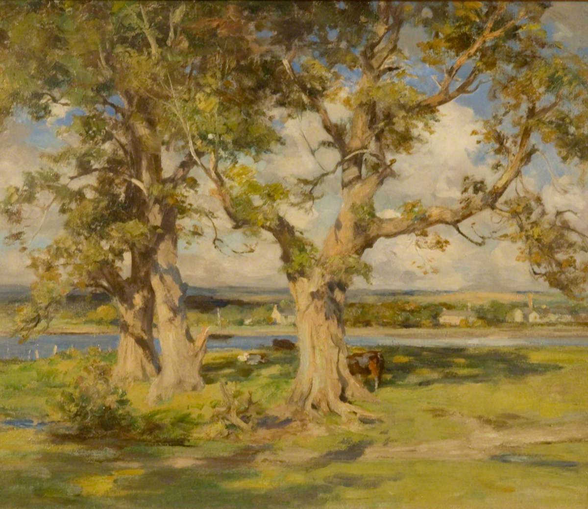 Three Trees by a River
