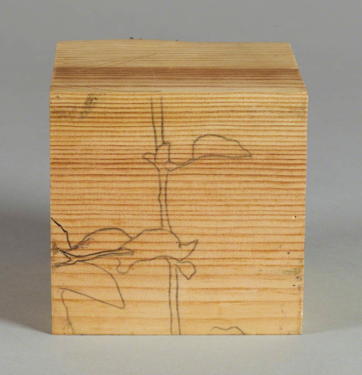 121 Linked Cubes: Cube featuring a Jute Stem Design created from Nails