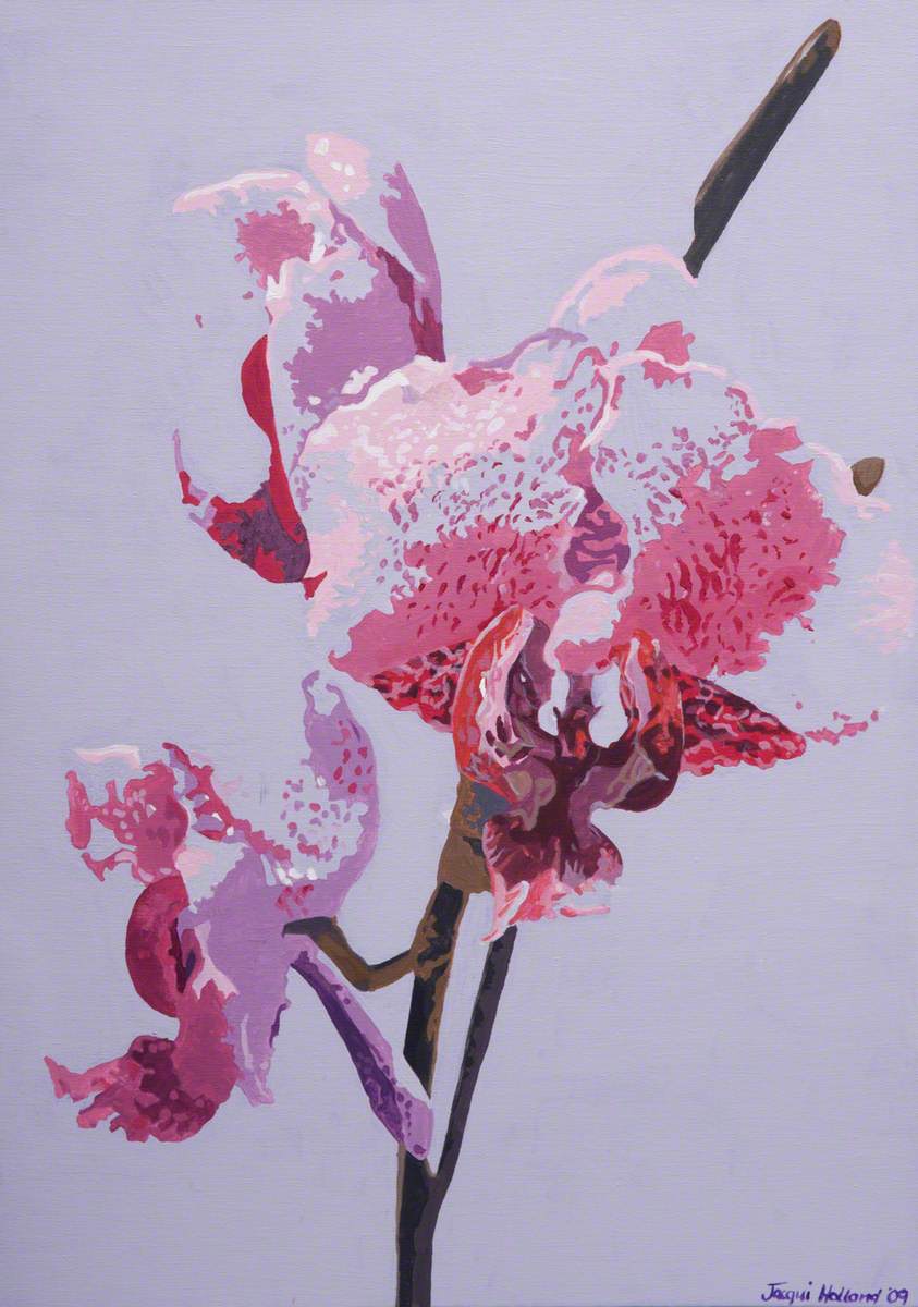 Orchid Study 1