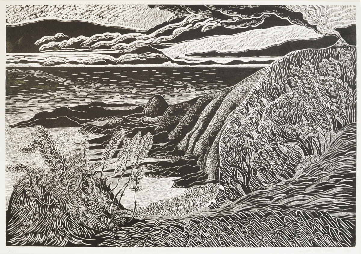 Clifftop Bonfire, Catterline