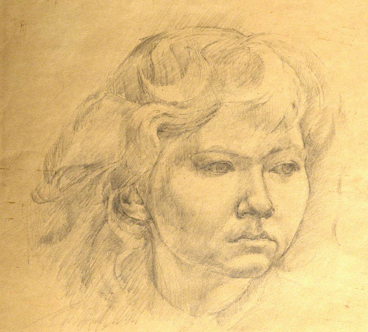 Head of Joyce Bain
