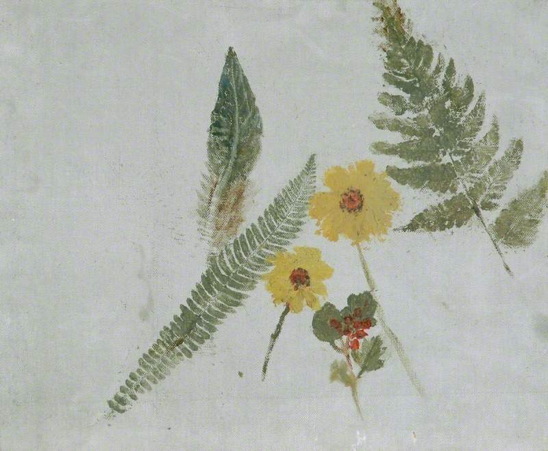 Sketch of Flowers and Ferns